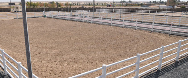 TAK’s involvement in designing for the more specialized needs of the equine industry includes stables for equestrian horses.