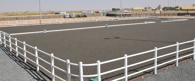 TAK’s involvement in designing for the more specialized needs of the equine industry includes stables for equestrian horses.