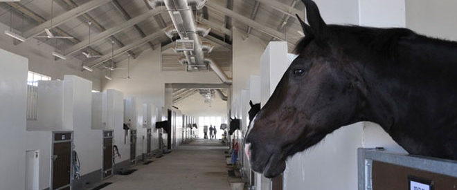 TAK’s involvement in designing for the more specialized needs of the equine industry includes stables for equestrian horses.