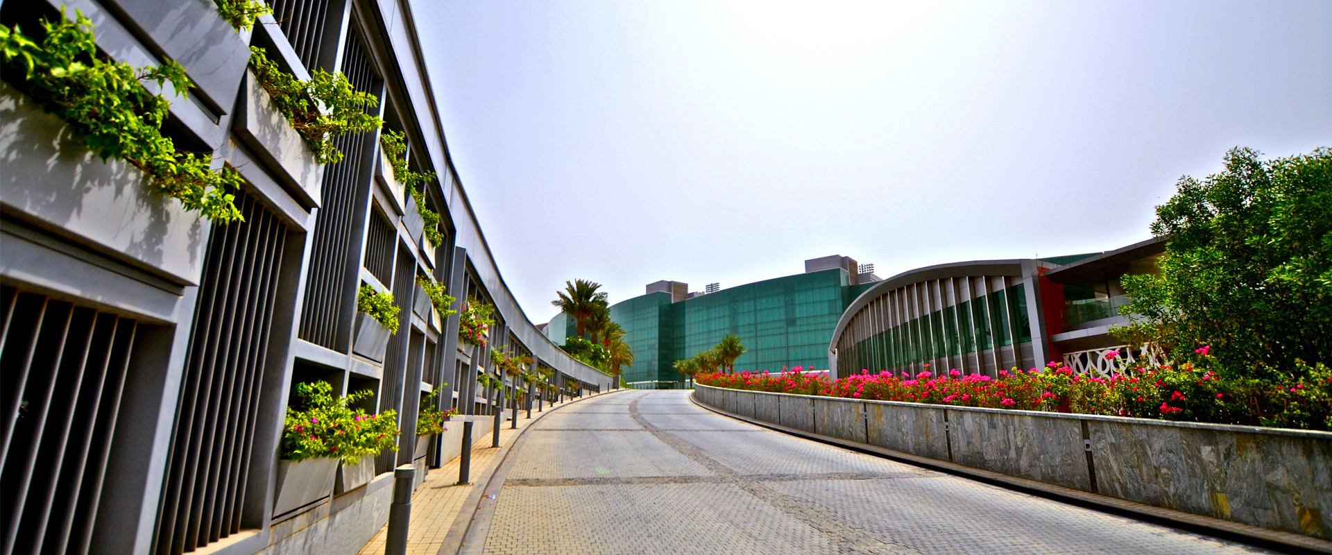 迈丹赛马场总规划之其一重点项目为双层钢构猎鹰停车场。